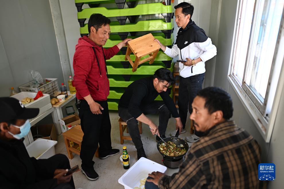牛牛 赢钱